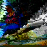 Nina febrianda profile icon