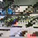 Indriani profile icon