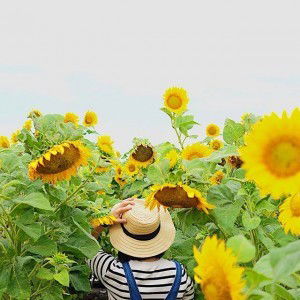 Veronica Deni Ambarwati profile icon