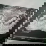 Mharjorie Lopez Avenido profile icon