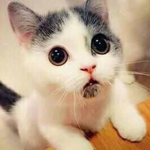 Ida Apriliyani profile icon