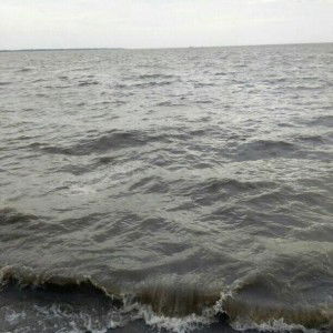 Trang Nguyen profile icon