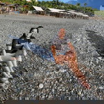 Maricar Laborte profile icon