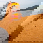 Thương Cao profile icon