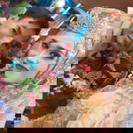 Liey Naelly profile icon