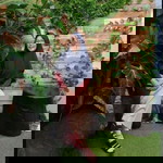 Weni Setiawan profile icon