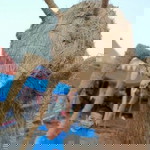 Tantyo Tantyo profile icon