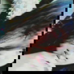 CJED Leelyn Galang profile icon