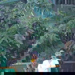 LavyAnna Marie Mortes Teolula profile icon