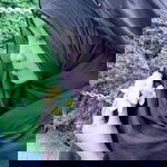 Fitri Wahyuni profile icon