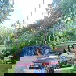 Sann Alicua profile icon