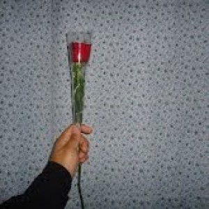 Siti Liantina Zulfa Khodijah profile icon