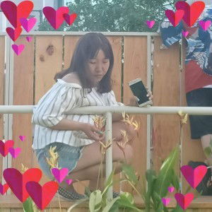 Phung Trần profile icon