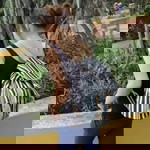 Si Moon profile icon