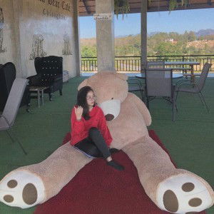 Nez Nez profile icon