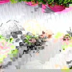 Aprilia profile icon