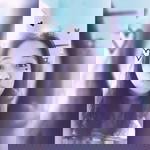 Good Eve profile icon