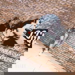 Hồ Ngọc Như profile icon