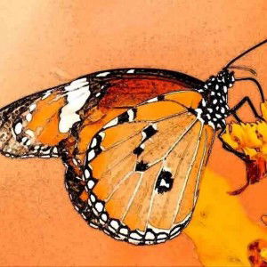 ณิชา แล้วไงค่ะ profile icon