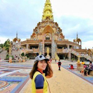 A Ant Mod profile icon