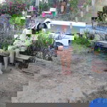 Cindy Abrogueña Lee profile icon