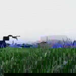 Patcharaporn Tangkitphinitchop profile icon