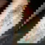 Anew Alebartse profile icon