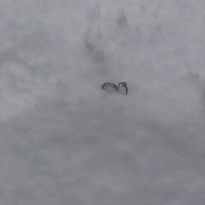 Norra Ismail profile icon