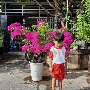 Huỳnh Lài profile icon