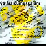 siti aisha profile icon