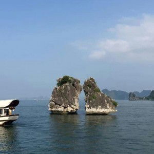 Truc Uyen Tran profile icon