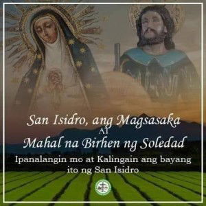 Lyn Lyn Lyn profile icon