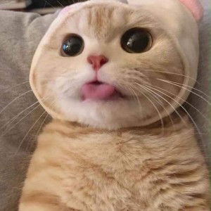 Leny Wulan Dari profile icon