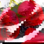 Nurul Hidayah profile icon