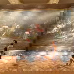 Joelyn Race profile icon