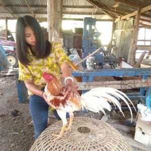 จีรนันท์ หงษ์ลอย profile icon