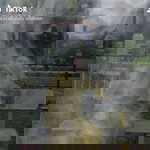 Zai Abdul Rahman profile icon