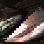 Dolandolan Diago Gina profile icon