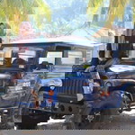 Diani Munandar profile icon