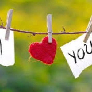 ฟะฮ์มีย์ มะลาบู profile icon