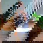 Thananya Sirapet profile icon