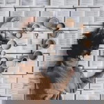 hershey Bamadhaj profile icon