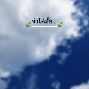 เฉย เมย profile icon