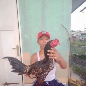 Ari Apemmontok profile icon