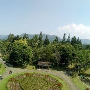 Verlyanda - profile icon