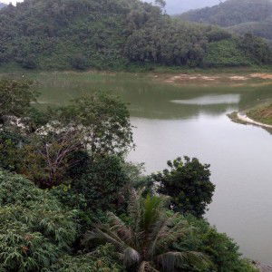 Fatimah Akak profile icon