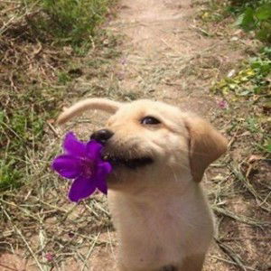 ich bin gerade profile icon