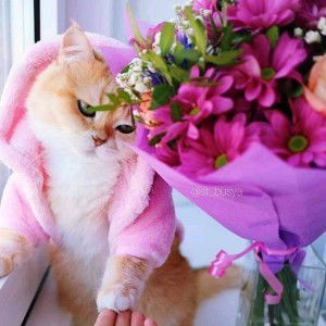 Aimra'atan Basita profile icon