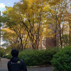 Nurwisra Fauzi profile icon