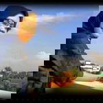 dwi islamiyah profile icon